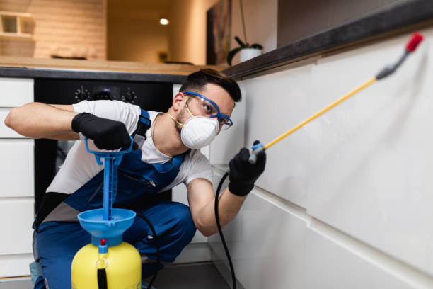 Best Flea Control Services  in Village Of Oak Creek, AZ