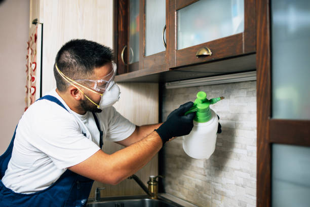 Best Commercial Pest Control Services  in Village Of Oak Creek, AZ