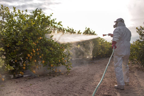 Best Pest Prevention Services  in Village Of Oak Creek, AZ