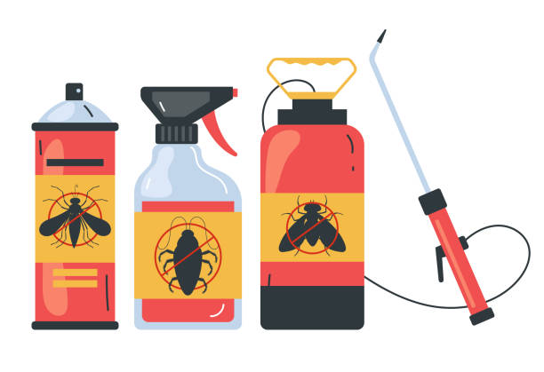 Best Wasp Removal Services  in Village Of Oak Creek, AZ